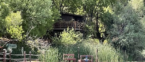 View of treehouse from across the pond 