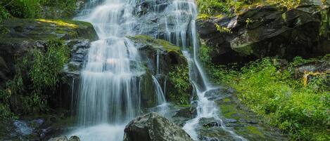 Hen Wallow Falls, Smoky Mountains National Park, Cosby, TN