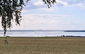 view-from-room