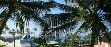 View from Lanai
