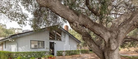 Ancient oak trees frame your private entrance.