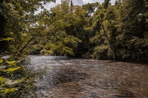 Incredible River Frontage!