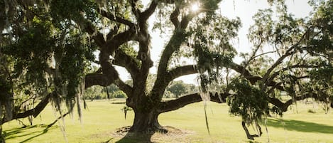 Jardines del alojamiento