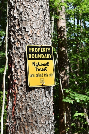 Chattahoochee National Forest boundary line located in our backyard!