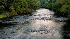 River Life 
