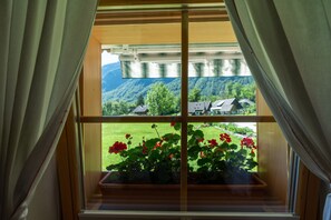 Window view