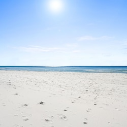 The Beach