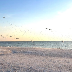 Treasure Island Beach