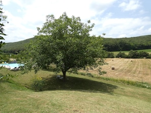 Boendeområde