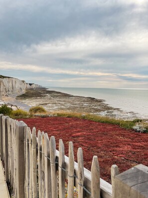 Beach/ocean view