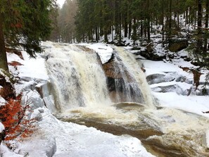 Wasser, Wasservorräte, Natürliche Landschaft, Wasserfall, Wasserlauf, Baum, Biome, Schnee, Einfrieren