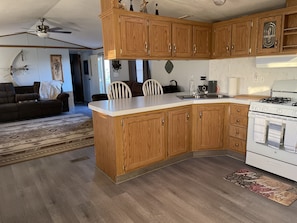 Kitchen/Living Room View