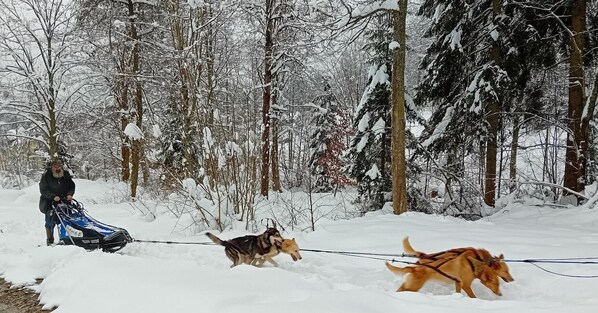 Snow and ski sports