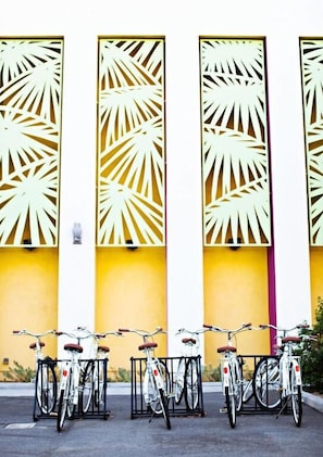 Bike Rentals