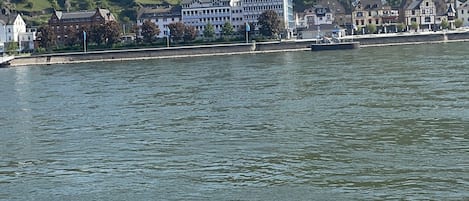 Rhein-Ufer/ Bank of the Rhine