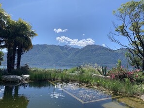 Terrain de l’hébergement 