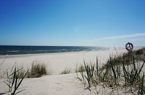 Spiaggia