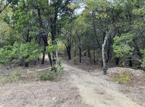 One of our trails on the property