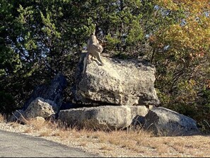 The only mountain lion we hope to see on the ranch (it's a statue)