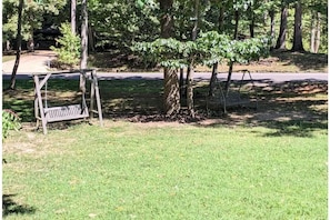 Side yard with swings