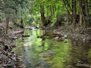 Turniptown Creek