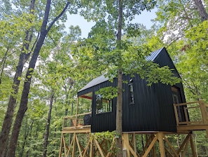 Welcome to our beautiful, brand-new Treehouse!