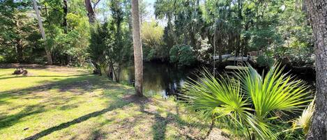 Creek Bank for Fishing and Kayaking