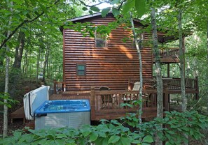 Wolf`s Den - Blue Ridge Cabin Rental