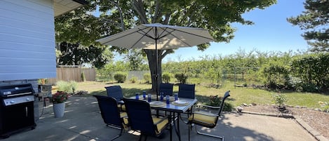 Outdoor dining for 6 overlooking a Mirabelle plum and peach orchard