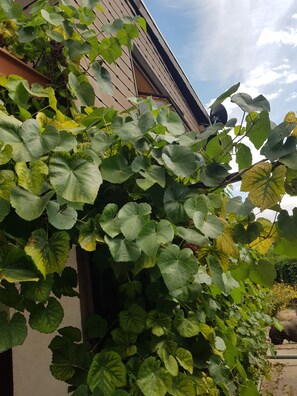 Detalj exteriör