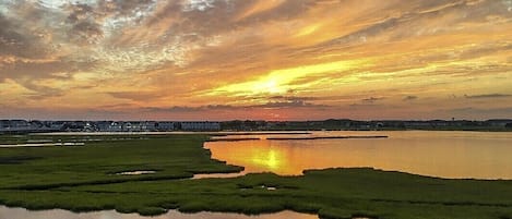 Sunrise views over the bay.