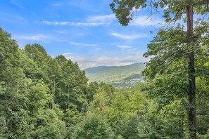 Nature, Outdoors, Vegetation, Tree, Countryside