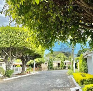 How the residential looks like, people from this neighborhood enjoy trees 