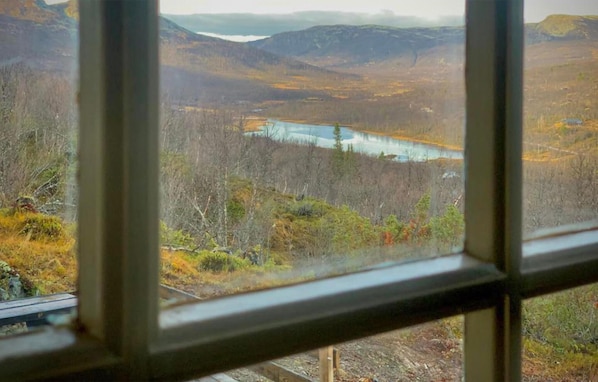 view-from-room