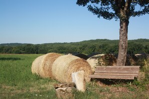 Enceinte de lâhĂ©bergement