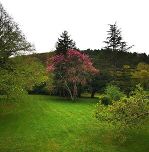 Boendeområde