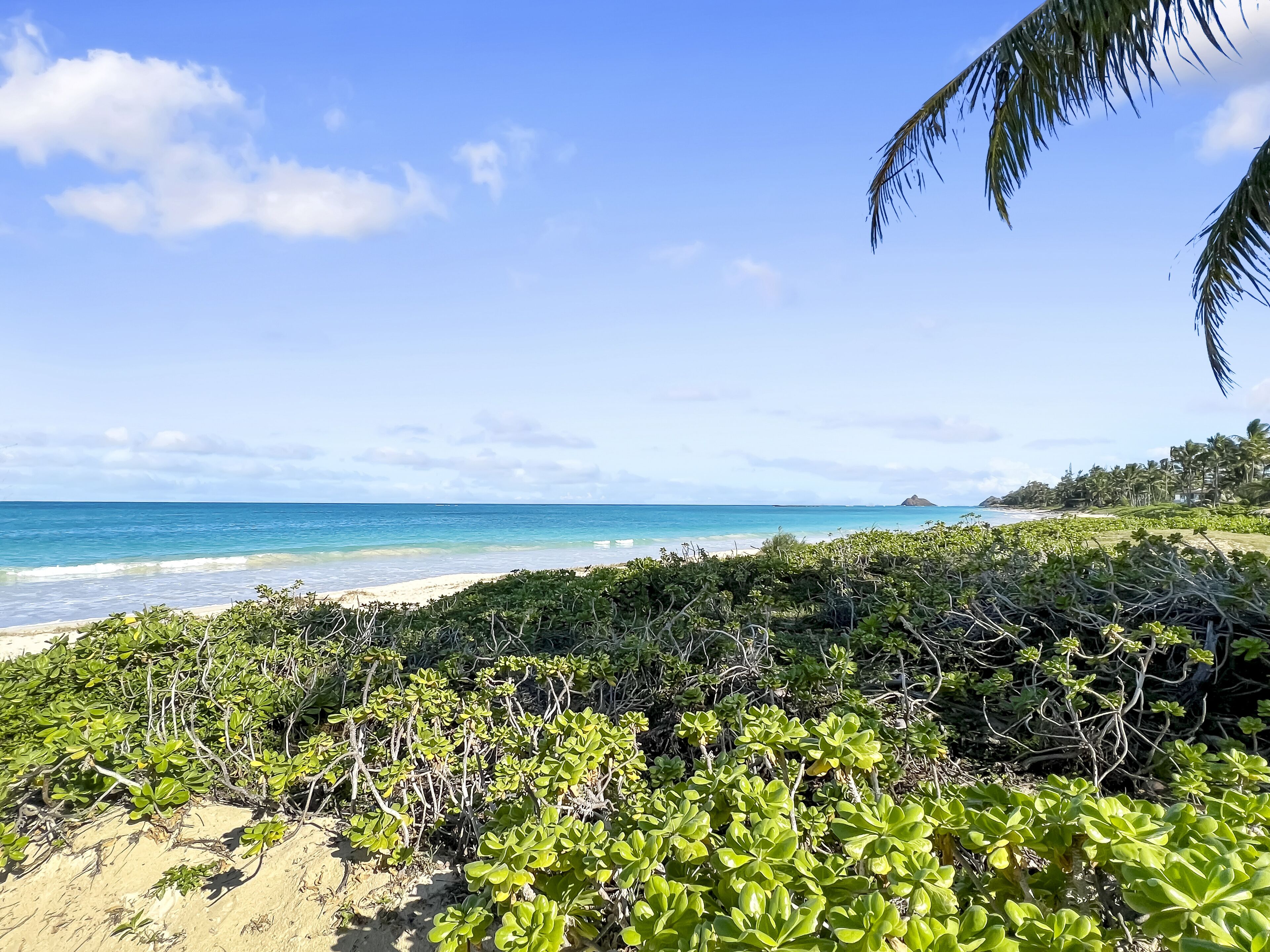Kaimana Beach (2025) - All You Need to Know BEFORE You Go