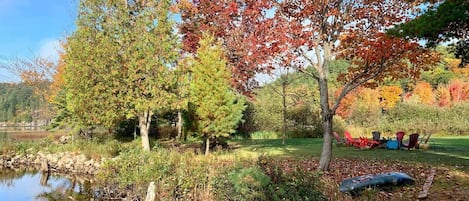 At the beach on the property