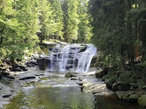 Wasser, Pflanze, Natürliche Landschaft, Natürlichen Umgebung, Wasserfall, Frühling, Baum, Auwald, Rutsche