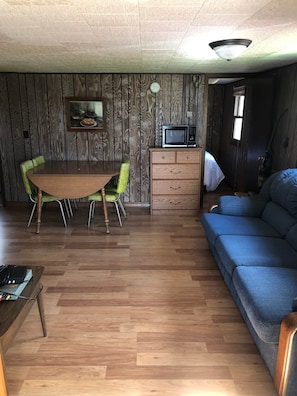 Retro living/dining space with microwave, full dresser, smart tv, and comfortable couch