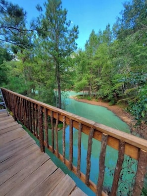 Treehouse Waterfront Deck