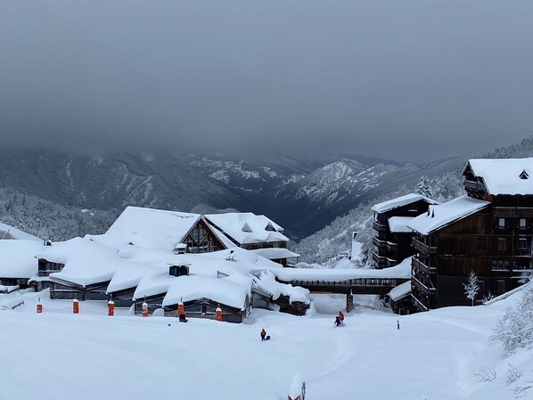 Snow and ski sports