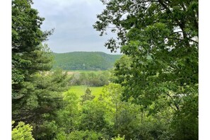 Springtime view