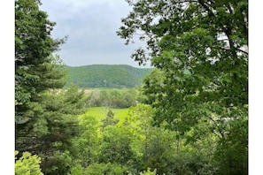 Springtime view