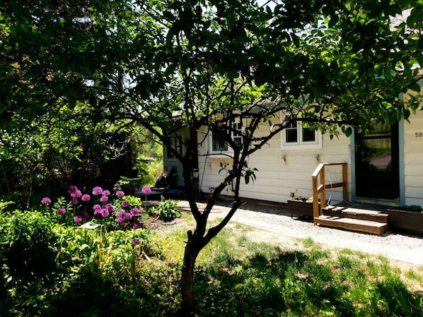 Front garden