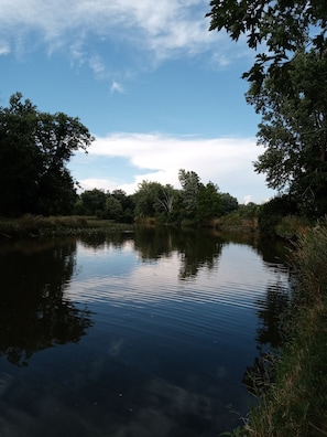 Overnatningsstedets område