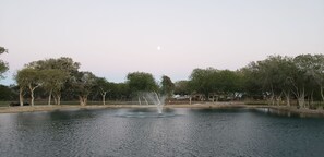 湖