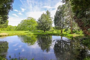 spring fed trout pond with adjacent fields to enjoy