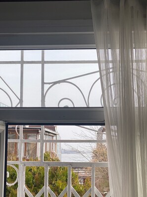 Beach/ocean view