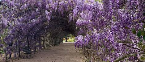 Terrenos do alojamento